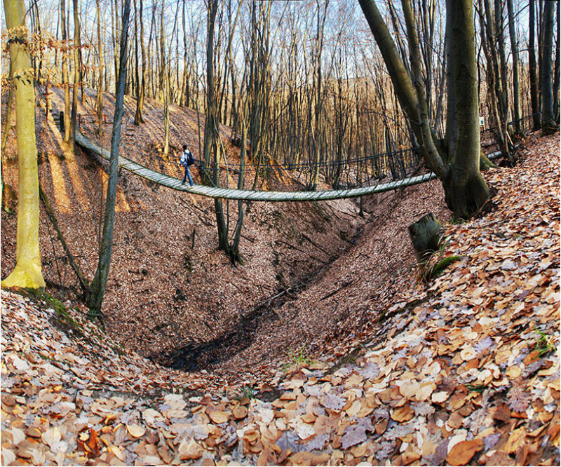02-gyadai-tanosveny-fuggohid.jpg