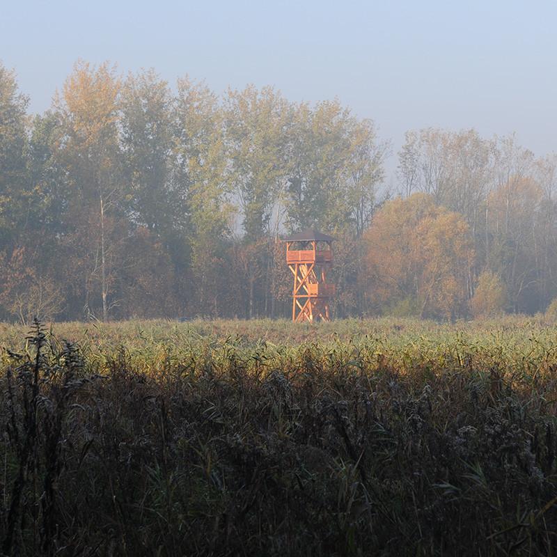 07_dsc_0073.jpg