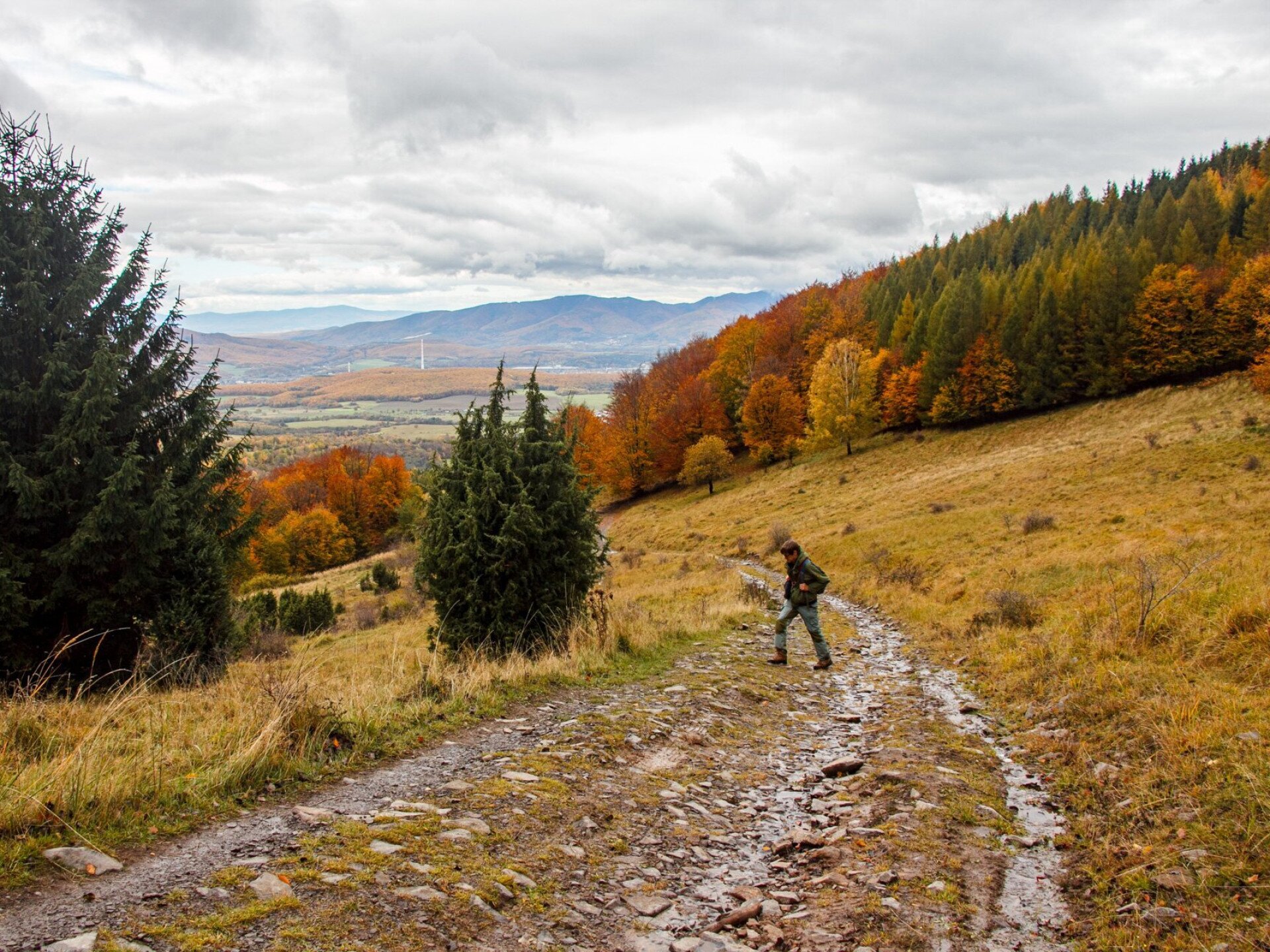 Ősz a Madaras egyedülálló törpebükkösében