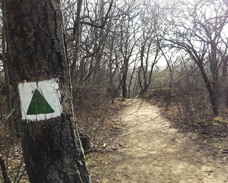 20170317_090830-2.jpg