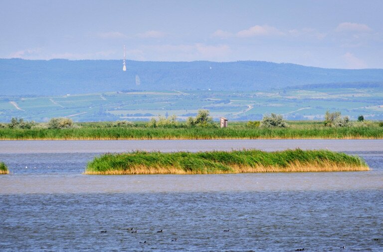 10 érdekesség, amit nem biztos, hogy tudtál a Fertő tóról