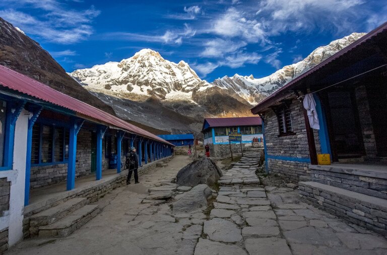 Egy hét a Himalája sűrűjében