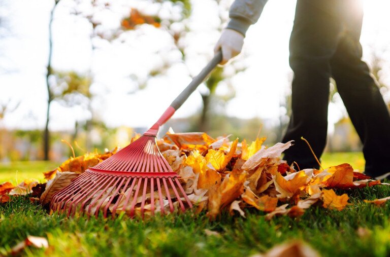 Menjen vagy maradjon a kerti avar?
