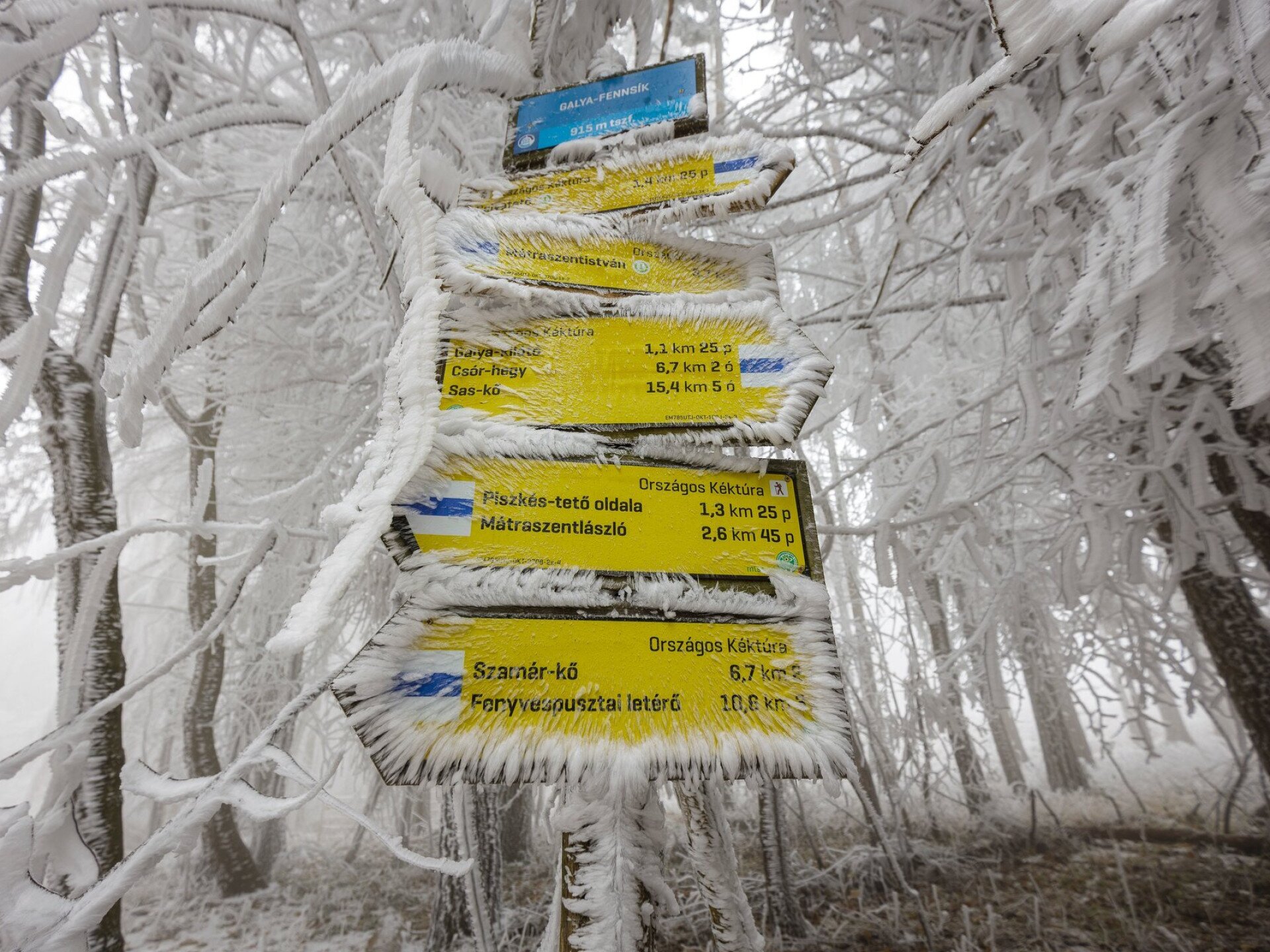 Kedvenc kéktúrás élményeink 1. rész