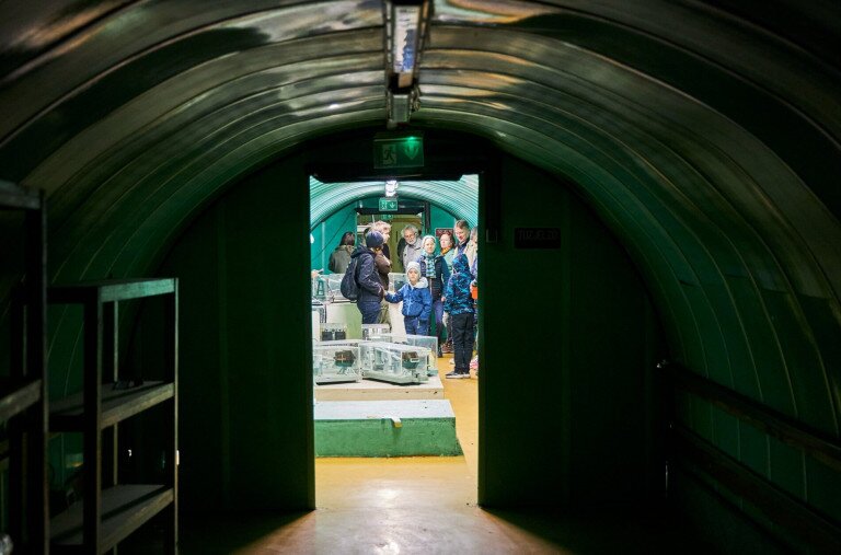 Mi van a Sas-hegy gyomrában?