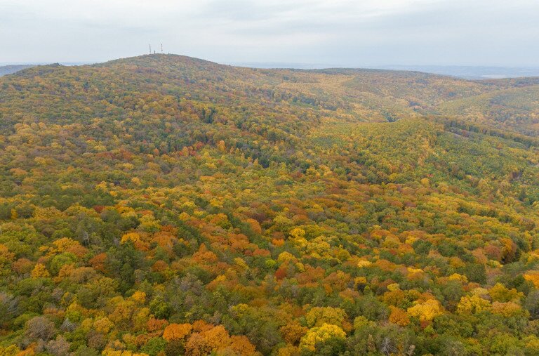 Legendák nyomán a Pécs feletti hegyekben