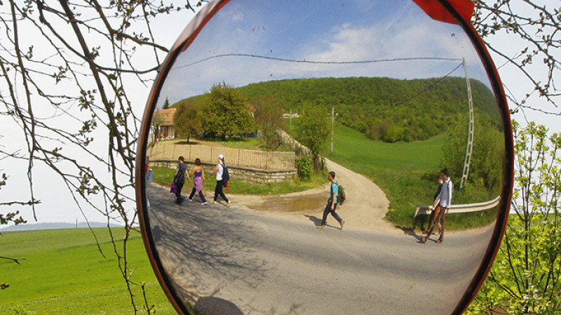 60-tarjan-hatara.jpg