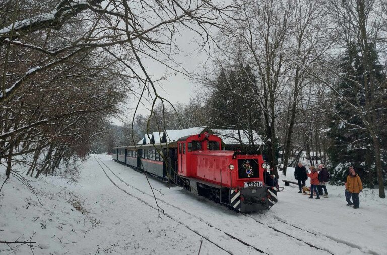 Ünnepi kisvasúti varázslat – Mikulásvonatok 2025-ben