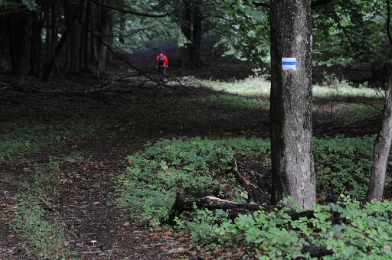 dsc_1059.jpg