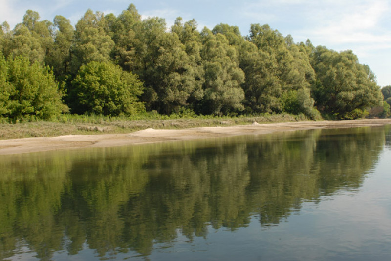 dsc_1524.jpg