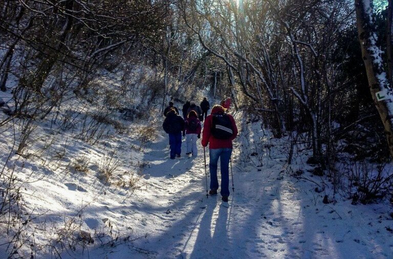 Elbűvölő erdei túraútvonalak télen – Hétvégi programajánló