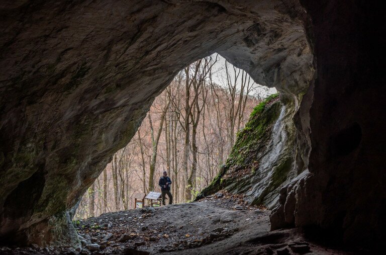 Szurdokerdő és barlangos sziklatáj