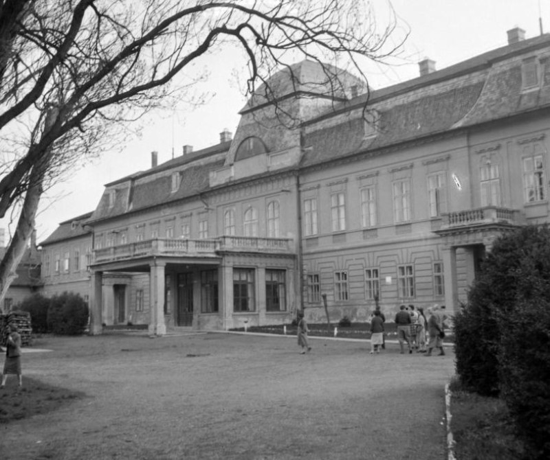 Fotó: Fortepan