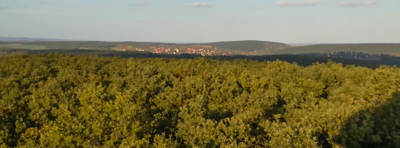 Fotó: Gombos Kálmán