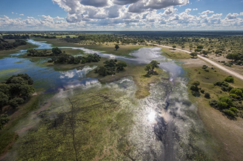 Fotó: James Morgan / WWF