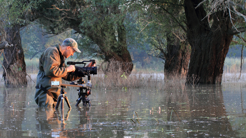 Fotó: Pannonia Entertainment / GP Green Planet Film