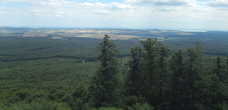 Fotó: VetHike