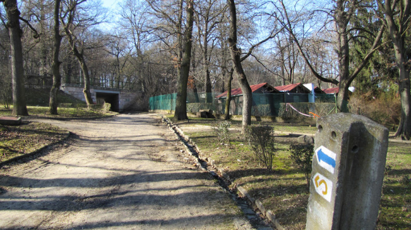 img_5401.jpg
