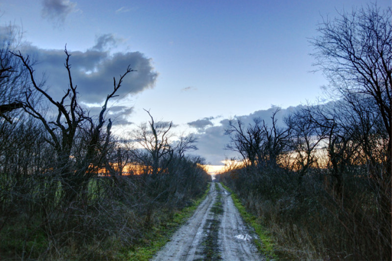 jan-11-12_100-hd-6-kk.jpg