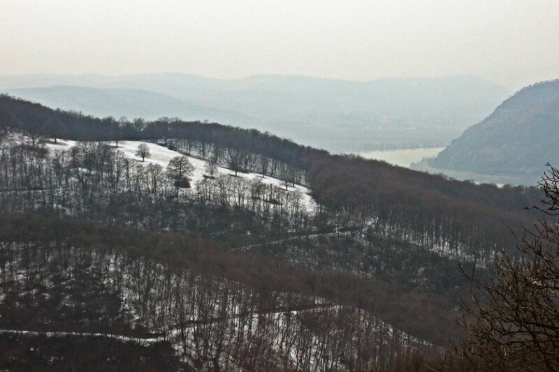 mar-11_049-2.jpg
