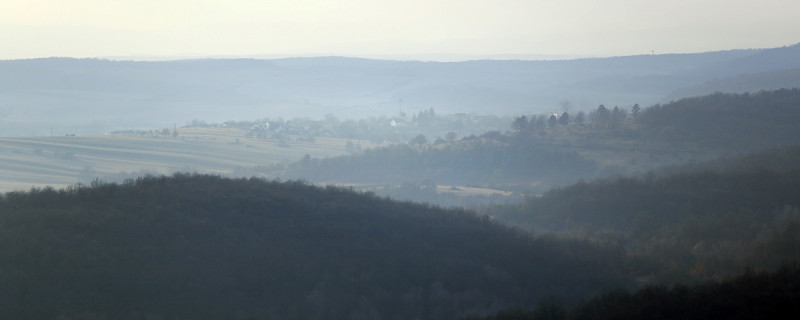 mar-8-10_077-2.jpg