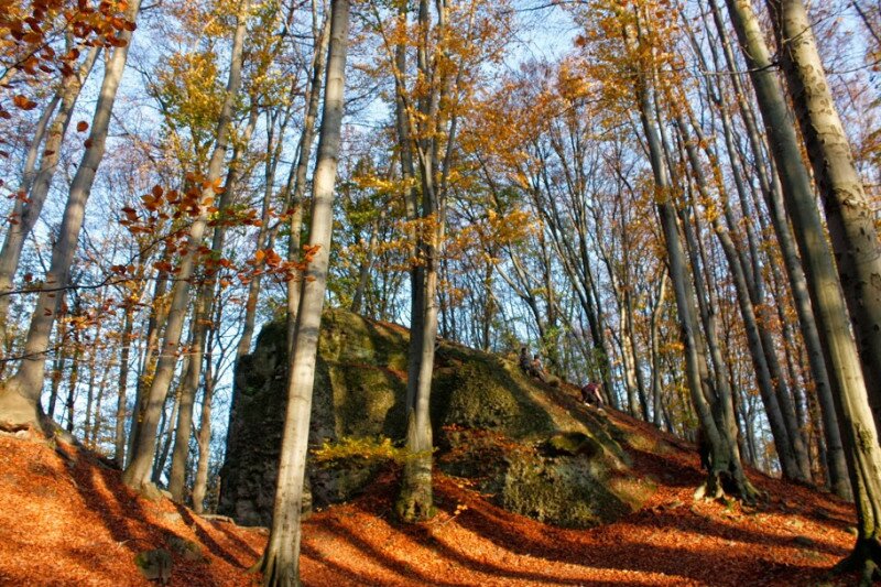 _mg_2525.jpg