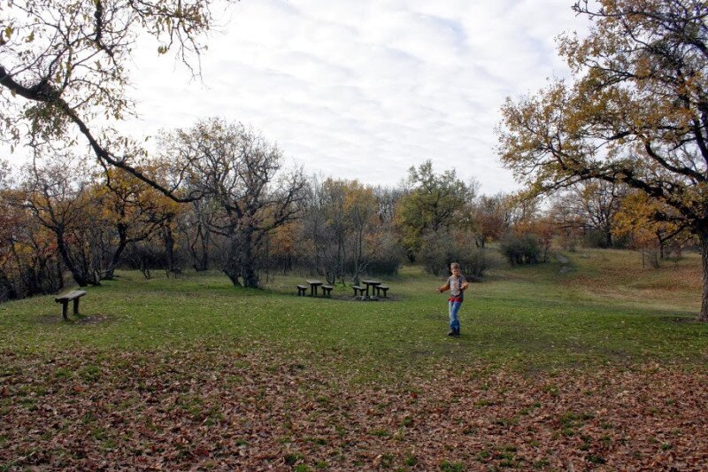 _mg_2739.jpg