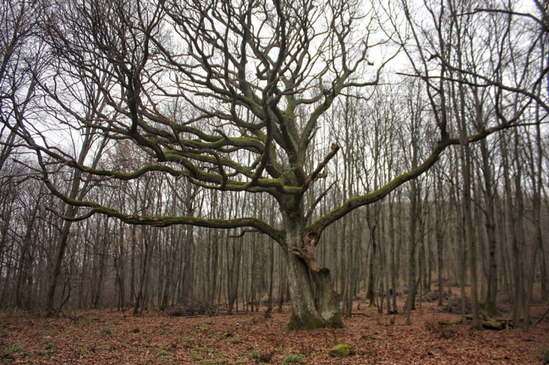 _mg_5837.jpg