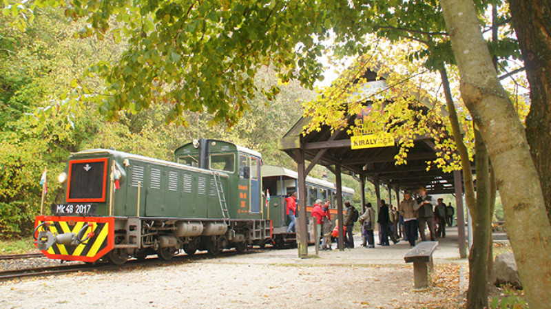 okt-22_082-2kk.jpg