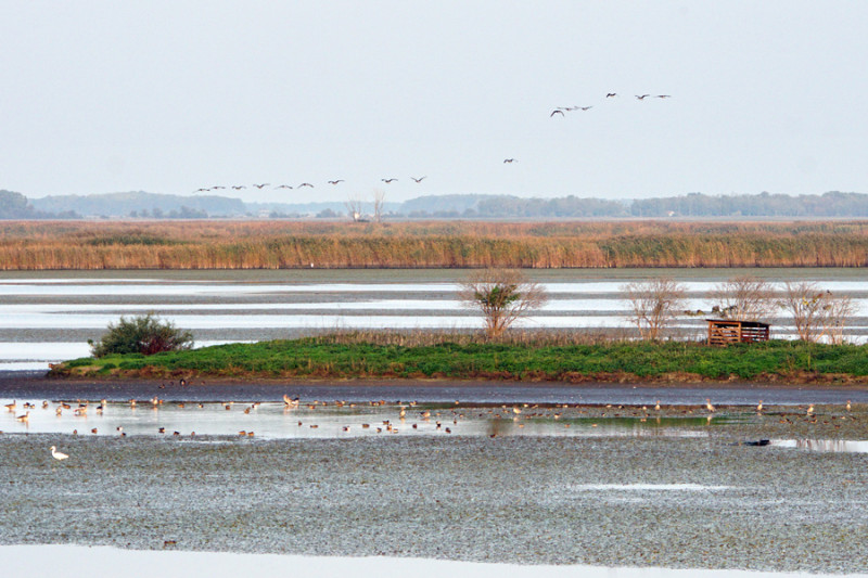 okt-25_030-2.jpg
