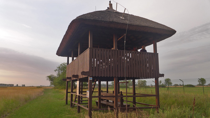 p1030544.jpg