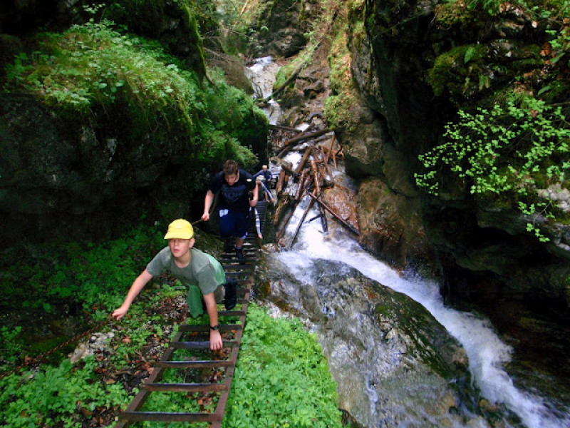 p5231561.jpg