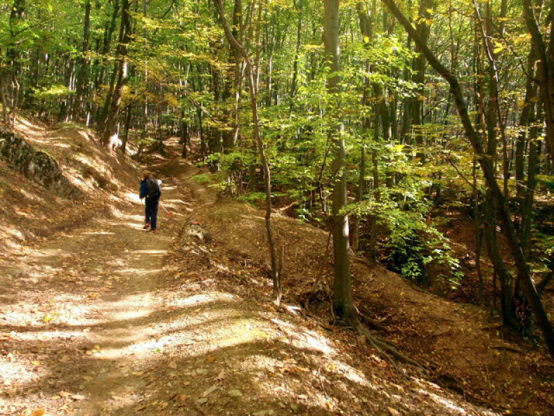 pa214289.jpg