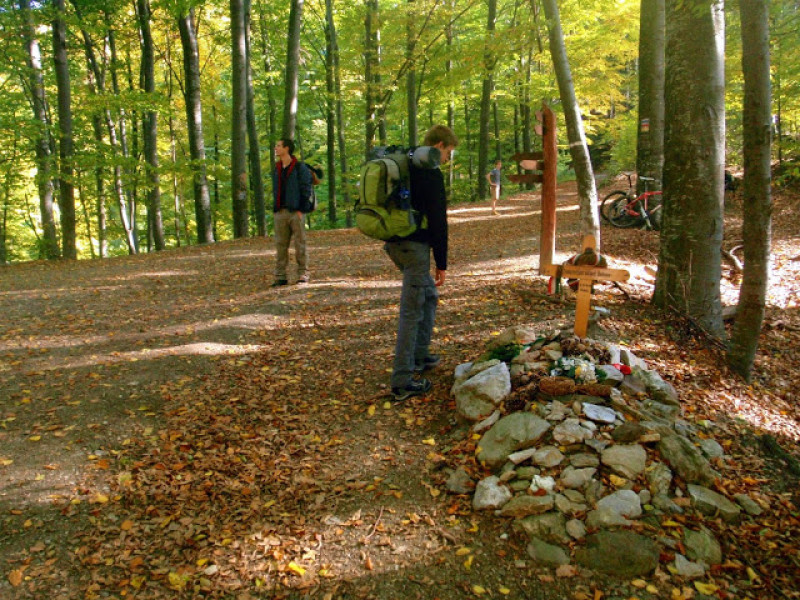 pa214291.jpg