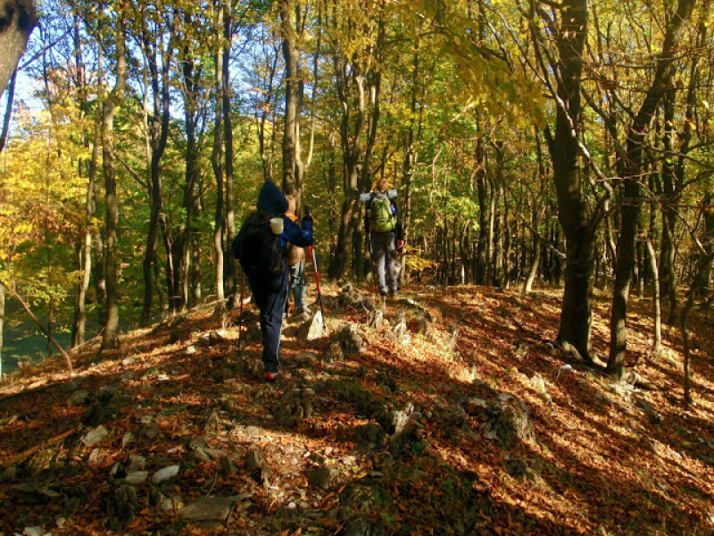 pa214292.jpg