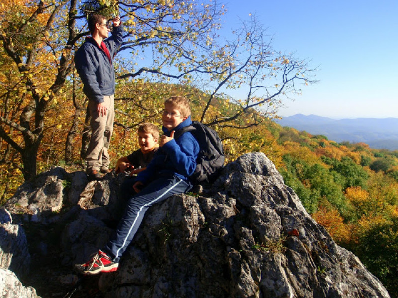 pa214297.jpg