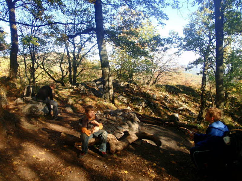 pa214318.jpg