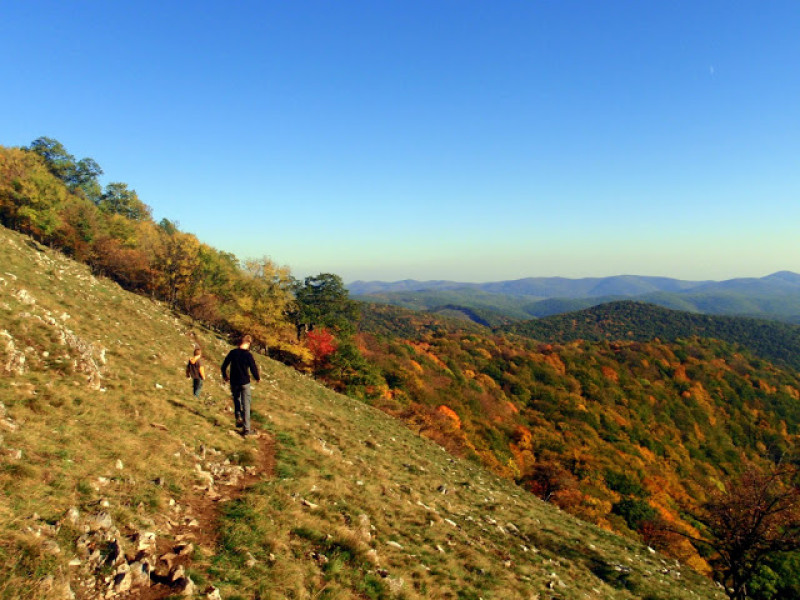 pa214322.jpg