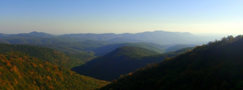 pa214323crop.jpg