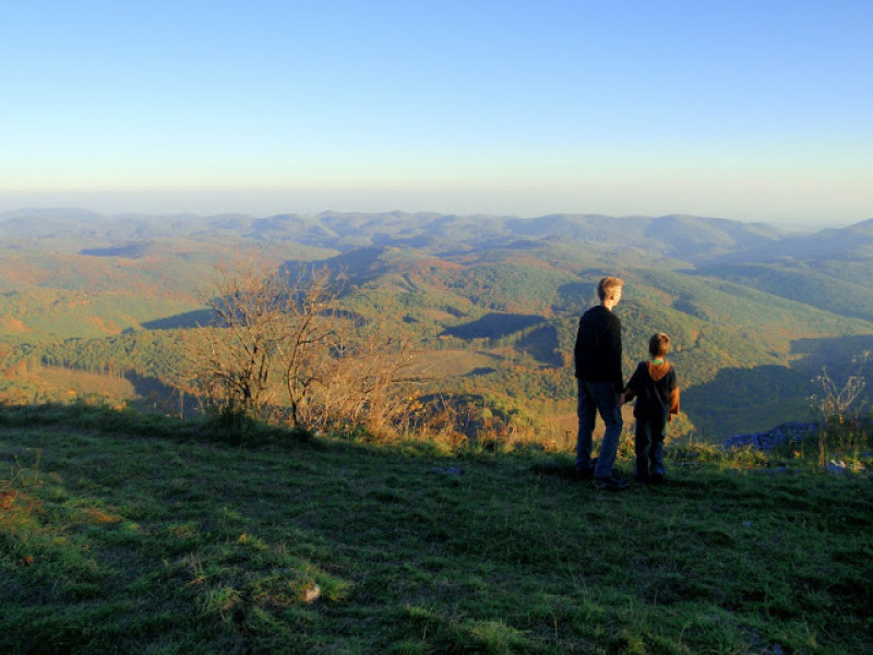 pa214326.jpg