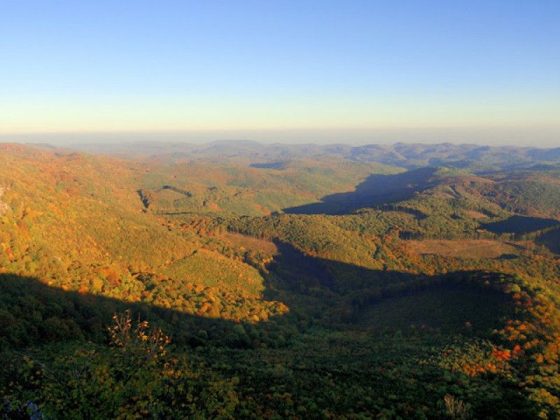 pa214328.jpg