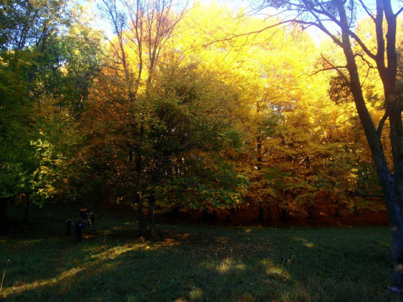 pa224336.jpg