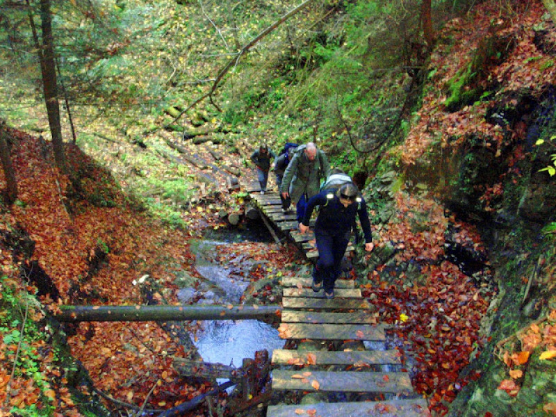 pa303278.jpg