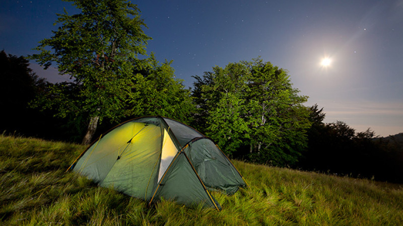 shutterstock_107212454-kk.jpg