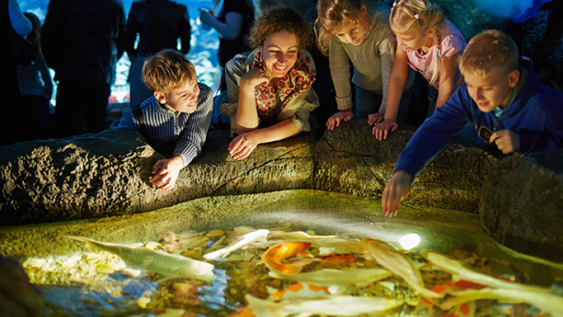 shutterstock_139841863-2.jpg