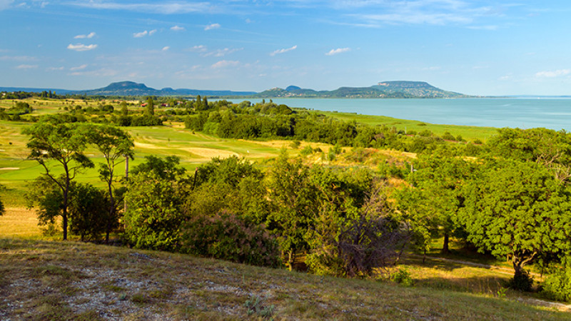 shutterstock_255573790-2.jpg