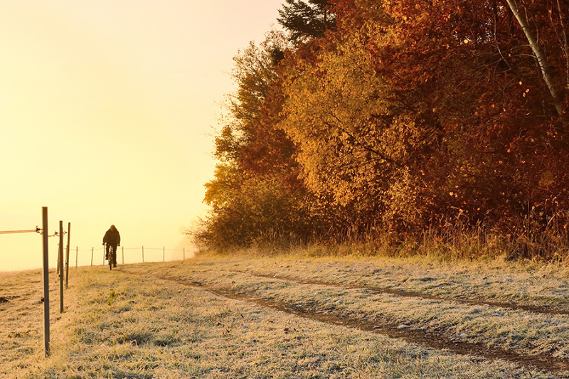 shutterstock_334406531-kk.jpg