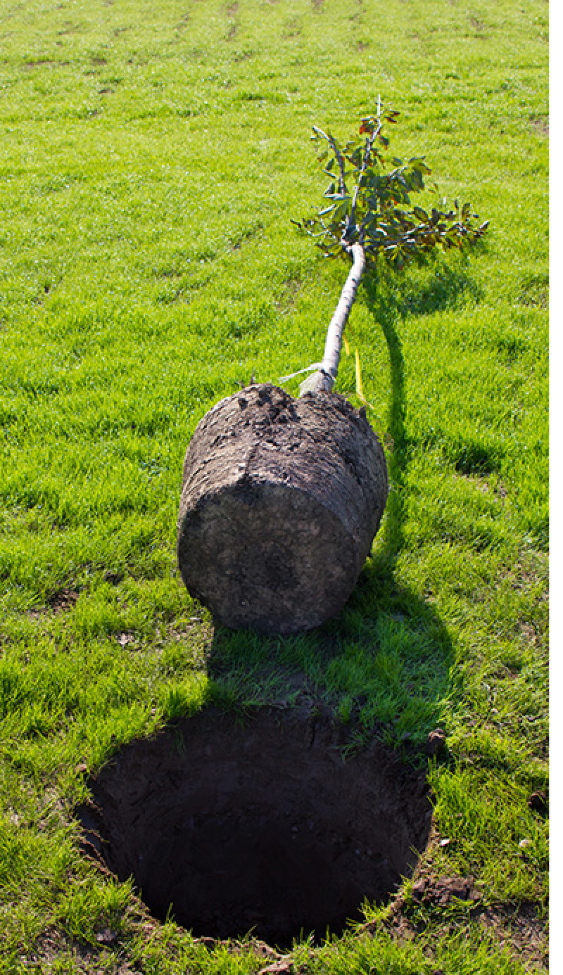 shutterstock_87658705-2kk.jpg