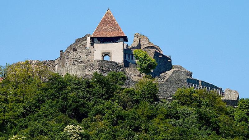 shutterstock_9614272567-44.jpg