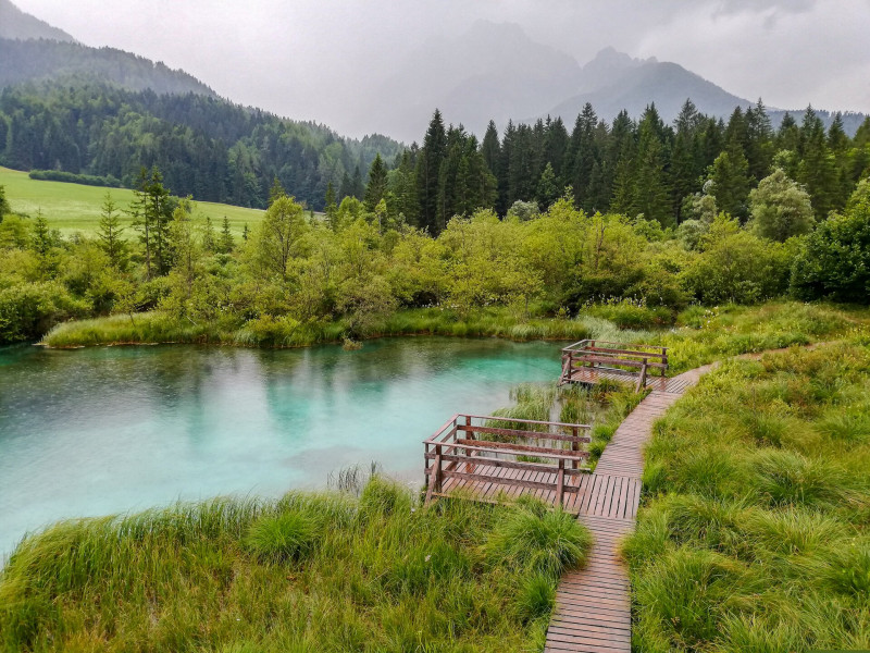 003-c_Zelenci_nemzeti_park_1